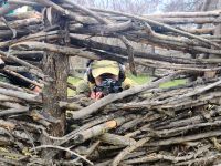 Военно-полевой сбор «Полигон» Военно-полевой сбор «Полигон»