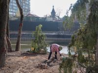 Озеленение Георгиевского парка