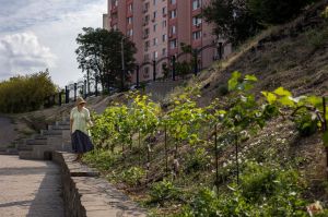 Первые плоды нового урожая - Богу!