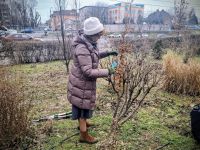 Са приходе стартовала сезонная обрезка древесно-кустарниковых растений