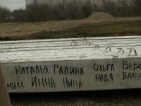 Завершен этап забивки свай 