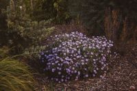 Осенние краски