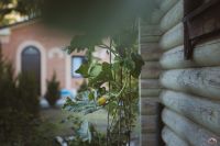 Осенние краски