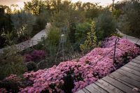 В Георгиевский парк приходит осень 