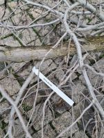 С северной стороны храма заложена новая ландшафтная локация. С северной стороны храма заложена новая ландшафтная локация.