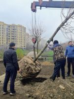 С северной стороны храма заложена новая ландшафтная локация. С северной стороны храма заложена новая ландшафтная локация.