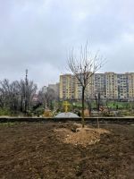 С северной стороны храма заложена новая ландшафтная локация. С северной стороны храма заложена новая ландшафтная локация.