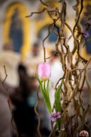 Многая лета!