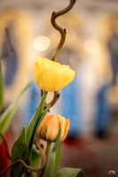 Сретение Господне