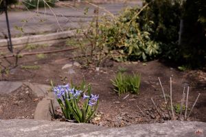 Радуемся весне!