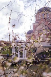 Радуемся весне!