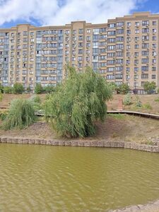 ИВА ВАВИЛОНСКАЯ, ИВА ПЛАКУЧАЯ (SALIX BABYLONICA)